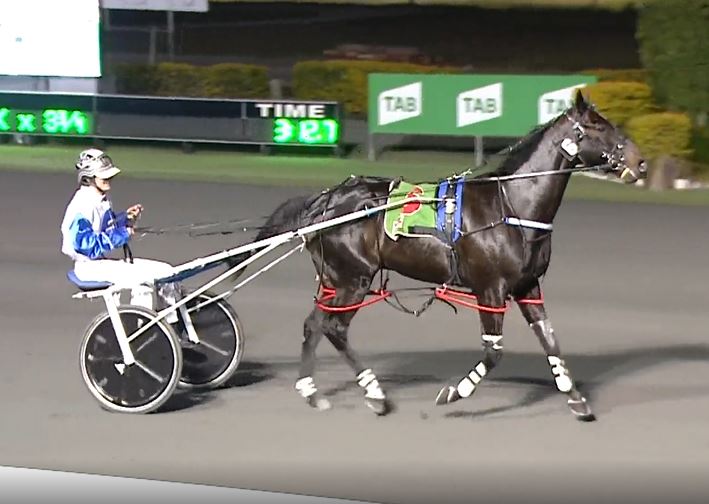 Graham Spotlight shines on Redcliffe for Group 1 features Harness